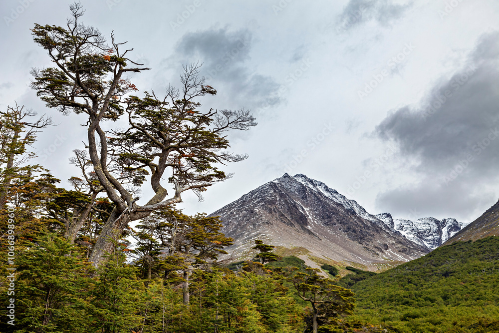 Obraz premium The Landscape at Ushuaia in Argentina