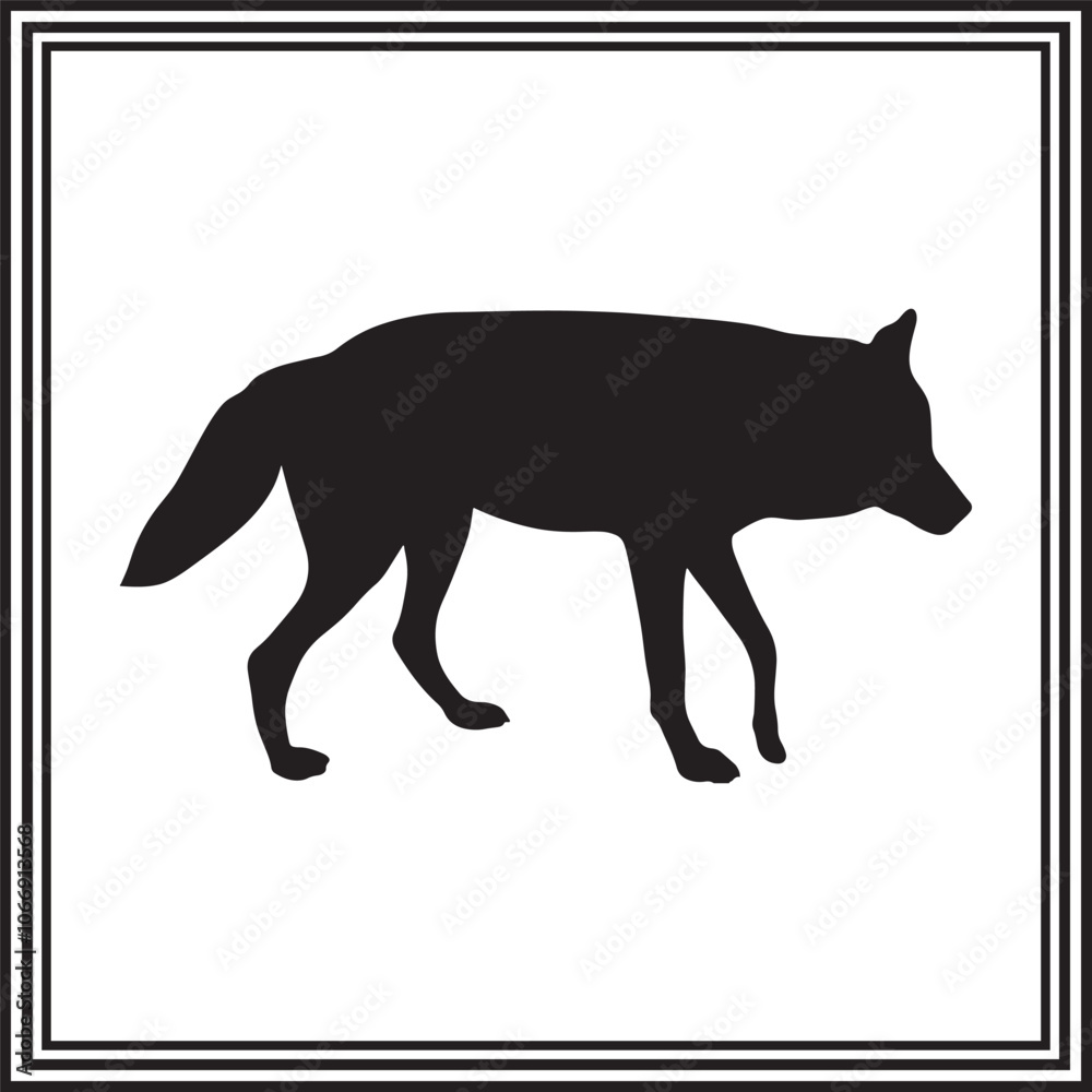 Vector Coyote silhouette on white background, animal silhouette. Vector Coyote silhouette on white background, animal silhouette.
