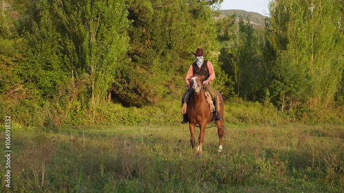 Long shot of a rider on a horse in a park