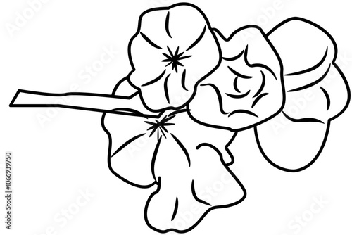 Cherry Blossom Doodle Element coloring page cartoon illustration