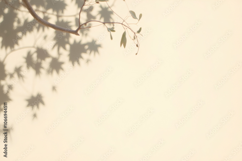 blank wall with shadows of branches and leaves on it blank wall with shadows of branches and leaves on it