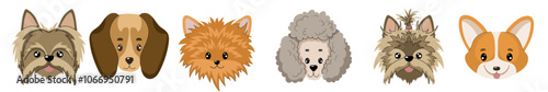 Small breed dog heads collection. Vector illustration of dogs in flat style. Isolated illustrations set on white