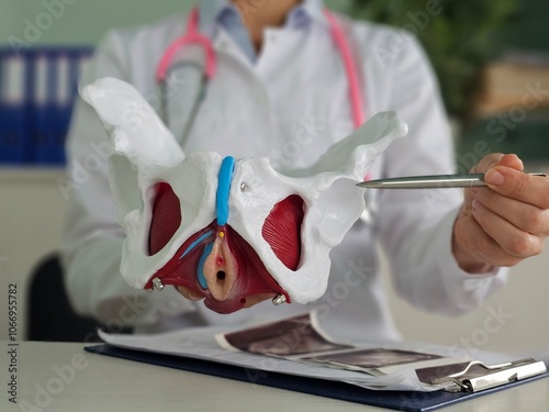 Canvas Print Model of doctor of anatomy of hip joint in clinic.