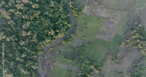 High aerial fly over view. Shocking deforestation of a tropical forest for subsistence farming on the banks of the Phongolo river,  boundary of Ndumo Game Reserve   photo