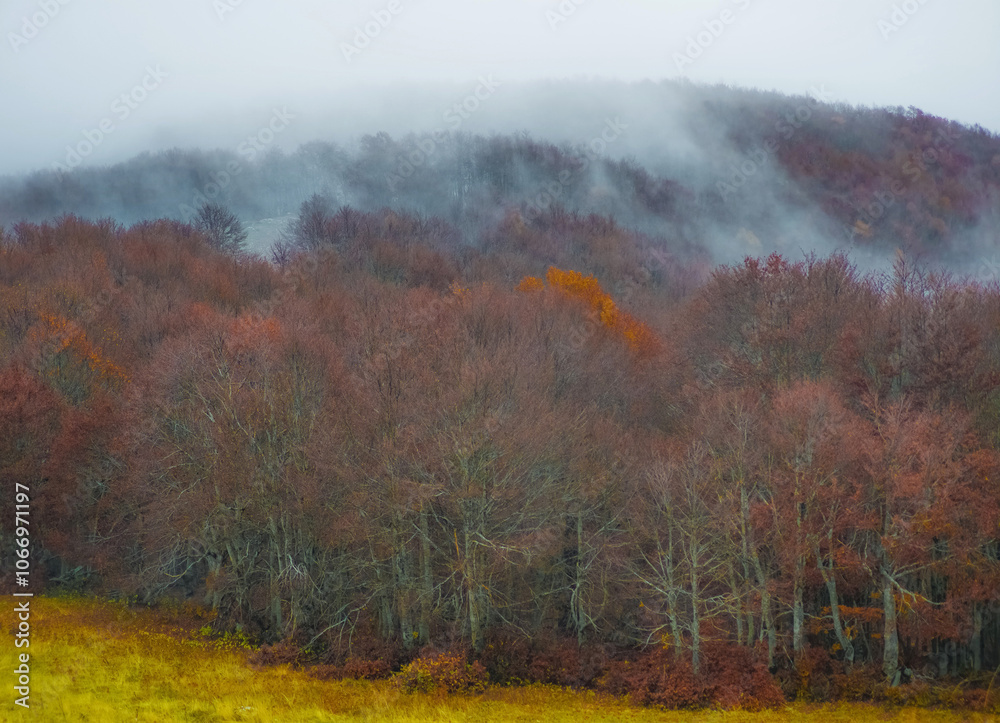 Fototapeta premium Mount Autore Livata (Subiaco, Italy) - Autumnal foliage in the mountains of province of Roma, Lazio region, Simbruini mounts natural park. Here a view with a beautiful autumn landscape.