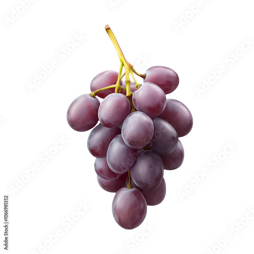 Ripe purple grape bunch with stem on transparent background