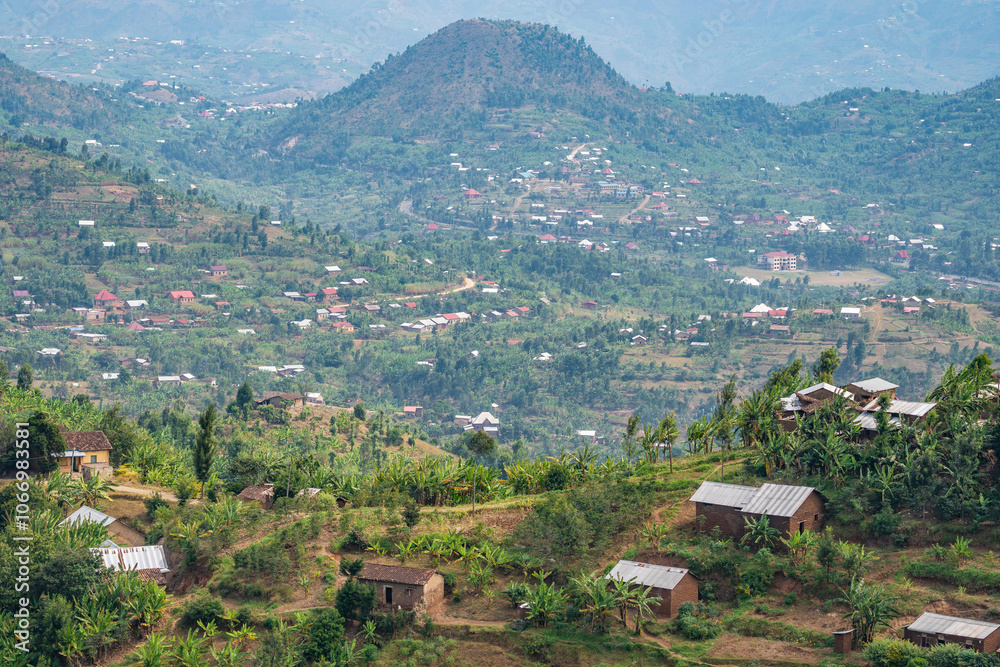 African lush green hillside is covered with rows of various plants, Rwanda African lush green hillside is covered with rows of various plants, Rwanda