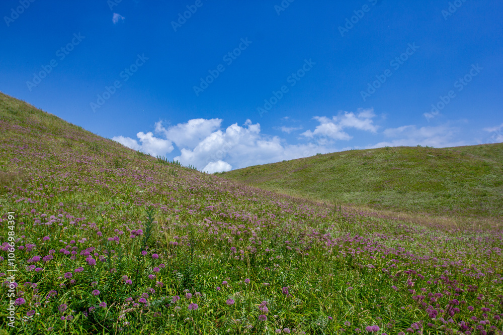 a field with wind turbines in the background and a mountain in the background. a field with wind turbines in the background and a mountain in the background.