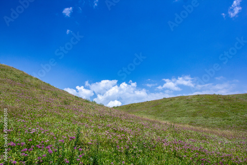 a field with wind turbines in the background and a mountain in the background.