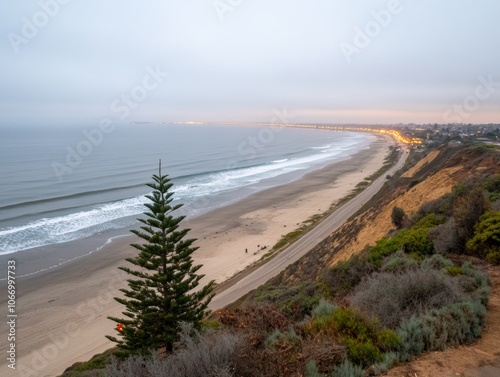 American boardwalk by the ocean decorated tree by the water photo