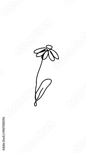 flor dibujo a mano