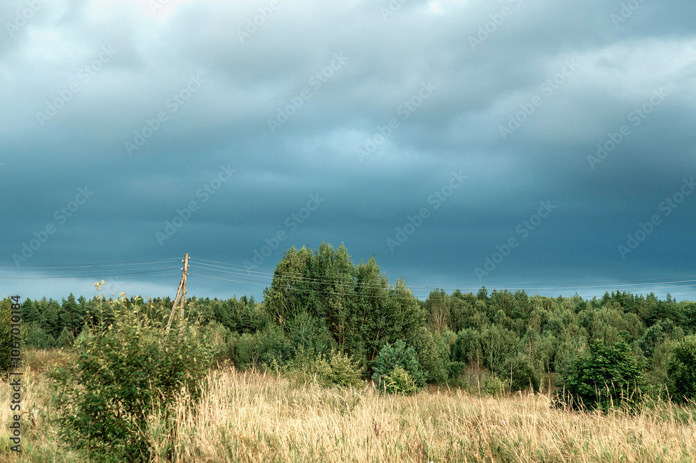 custom made wallpaper toronto digitalovercast sky before a thunderstorm over forest and field