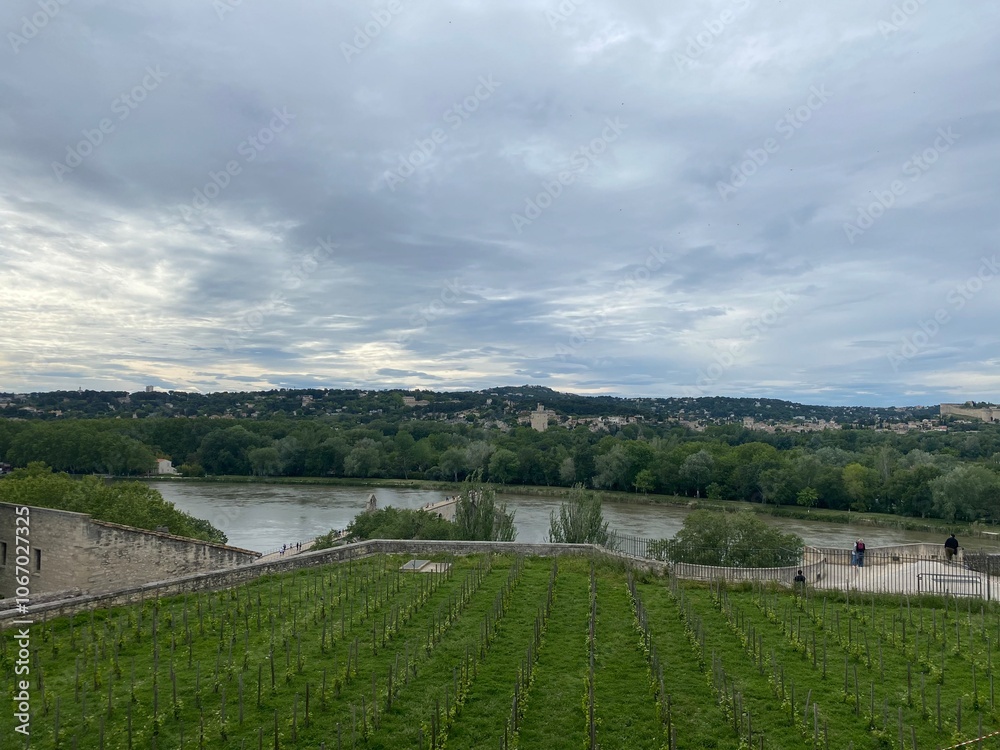 Fototapeta premium Vue sur le rhône depuis le bemvédère du rocher des doms à Avignon