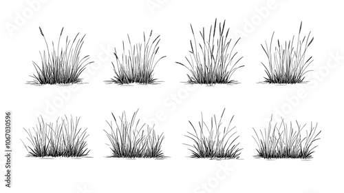 Картината върху платно Set of vector grass illustrations on a white background