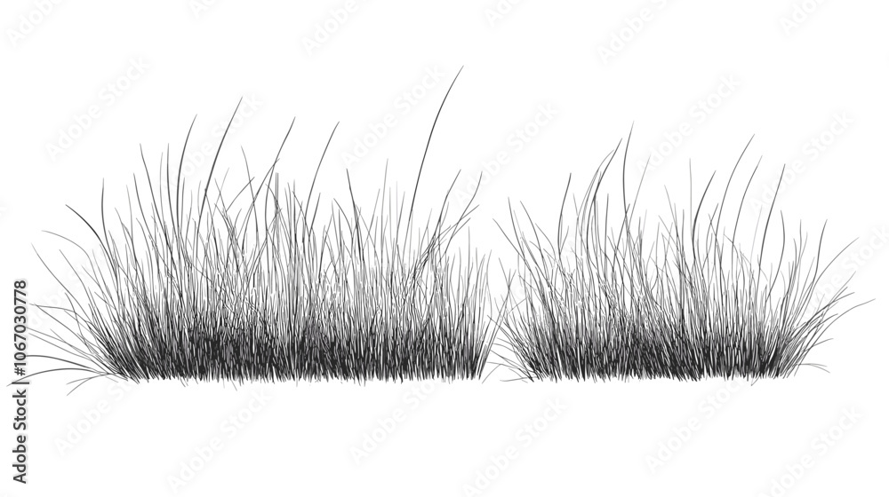 Set of vector grass illustrations on a white background. Architectural Drawings, Minimal style cad turf drawing, Side view, set of graphics meadows elements outline symbol for lawn landscape design Set of vector grass illustrations on a white background. Architectural Drawings, Minimal style cad turf drawing, Side view, set of graphics meadows elements outline symbol for lawn landscape design