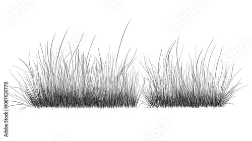 Set of vector grass illustrations on a white background. Architectural Drawings, Minimal style cad turf drawing, Side view, set of graphics meadows elements outline symbol for lawn landscape design photo