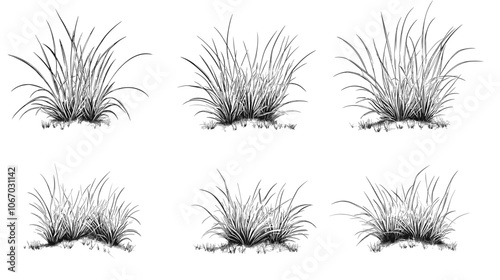 Set of vector grass illustrations on a white background. Architectural Drawings, Minimal style cad turf drawing, Side view, set of graphics meadows elements outline symbol for lawn landscape design