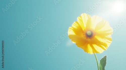 Wallpaper Mural Capture the beauty of nature with a radiant yellow flower standing tall against a clear sky Torontodigital.ca