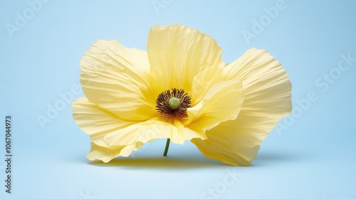 Wallpaper Mural Explore the beauty of a single yellow flower against a soft blue background for a relaxing atmosphere Torontodigital.ca