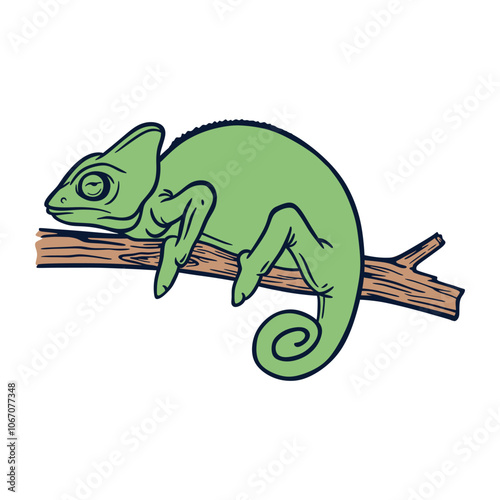 Chameleon Resting on Wood