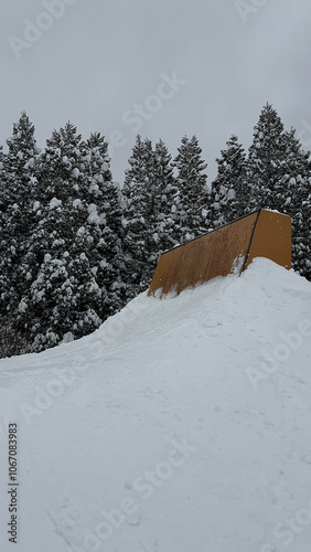 winter snowborad garden photo