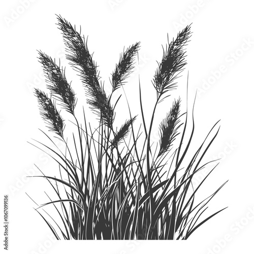 Black and white illustration of a cluster of tall grass with long blades