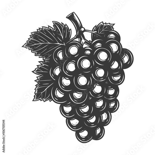 Black and White Illustration of a Bunch of Grapes with a Leaf