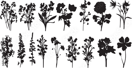 Set Flowers. Hand drawn vector illustration