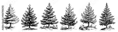Classic Christmas tree  in hand-drawn style – black vector