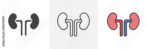 Kidney icon in black and colored style.