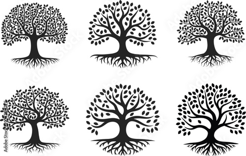 Abstract Tree Silhouette  collection Vector Illustration with a white background