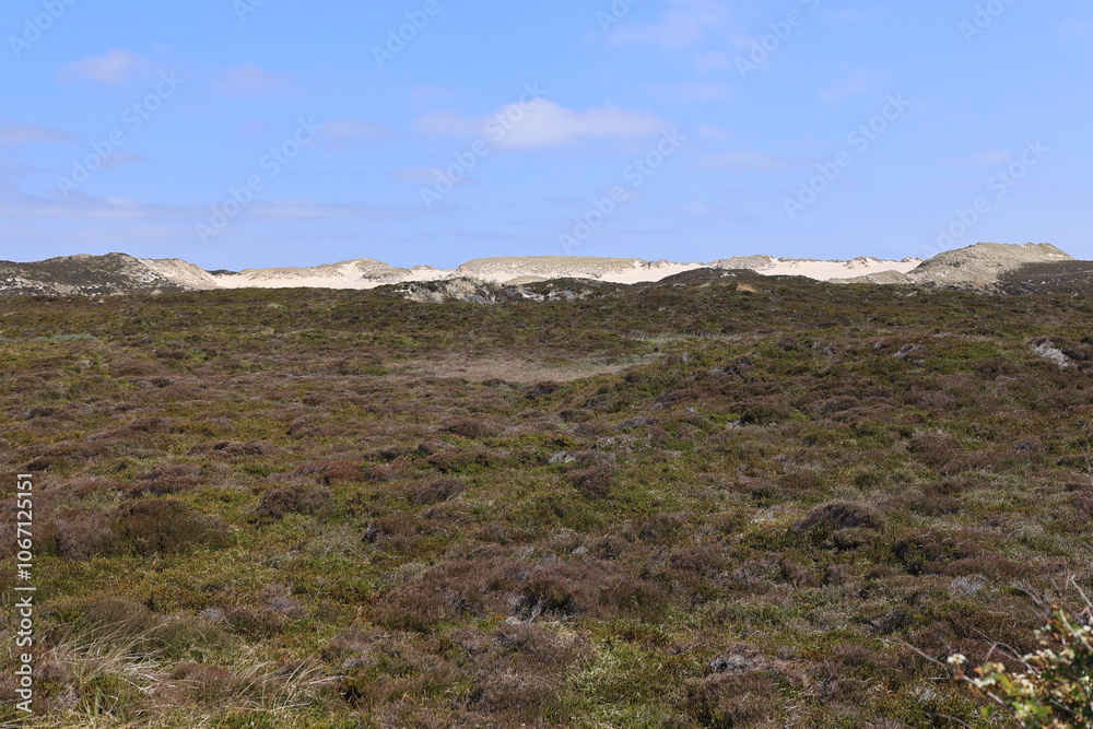 Blick auf die Küstenlandschaft am sogenannten Ellenbogen der Insel Sylt bei List Blick auf die Küstenlandschaft am sogenannten Ellenbogen der Insel Sylt bei List