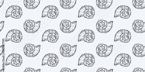 Seamless pattern of mollusc seashells sketches, vector background, wallpaper, paper, wrapper, textile, fabric