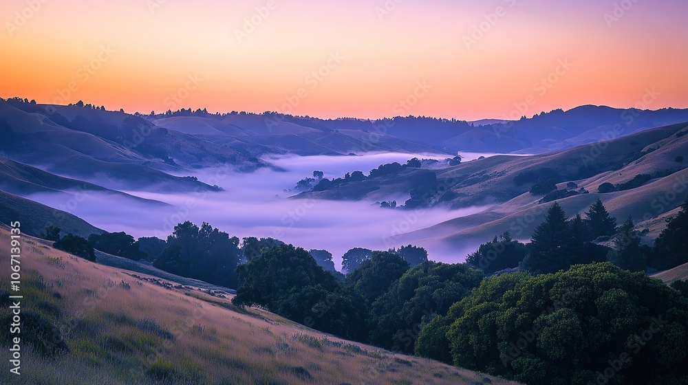 Foggy Valley at Sunrise with Soft Pastel Colors. Foggy Valley at Sunrise with Soft Pastel Colors.