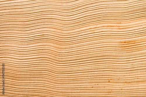 Background of dried palm frond, close up. photo