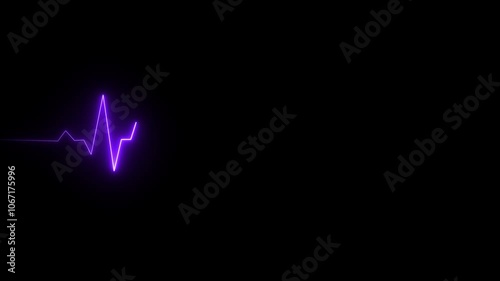 Wallpaper Mural neon heartbeat and pulse rate on black background. Heart bit signal animated in black background. Torontodigital.ca