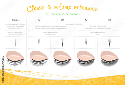 Classic and volume extension