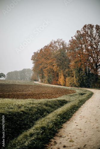 Herbstlicher Feldweg mit buntem Laub und Nebel photo