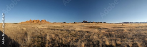 Red Rock Formations in a Vast, Dry Desert Landscape