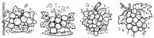 A black or dark red grape is isolated on a white background with a clipping path.