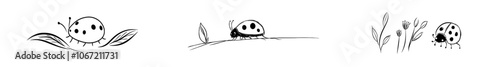 Ladybug in one line drawing. Modern graphic illustration of a one line drawing
