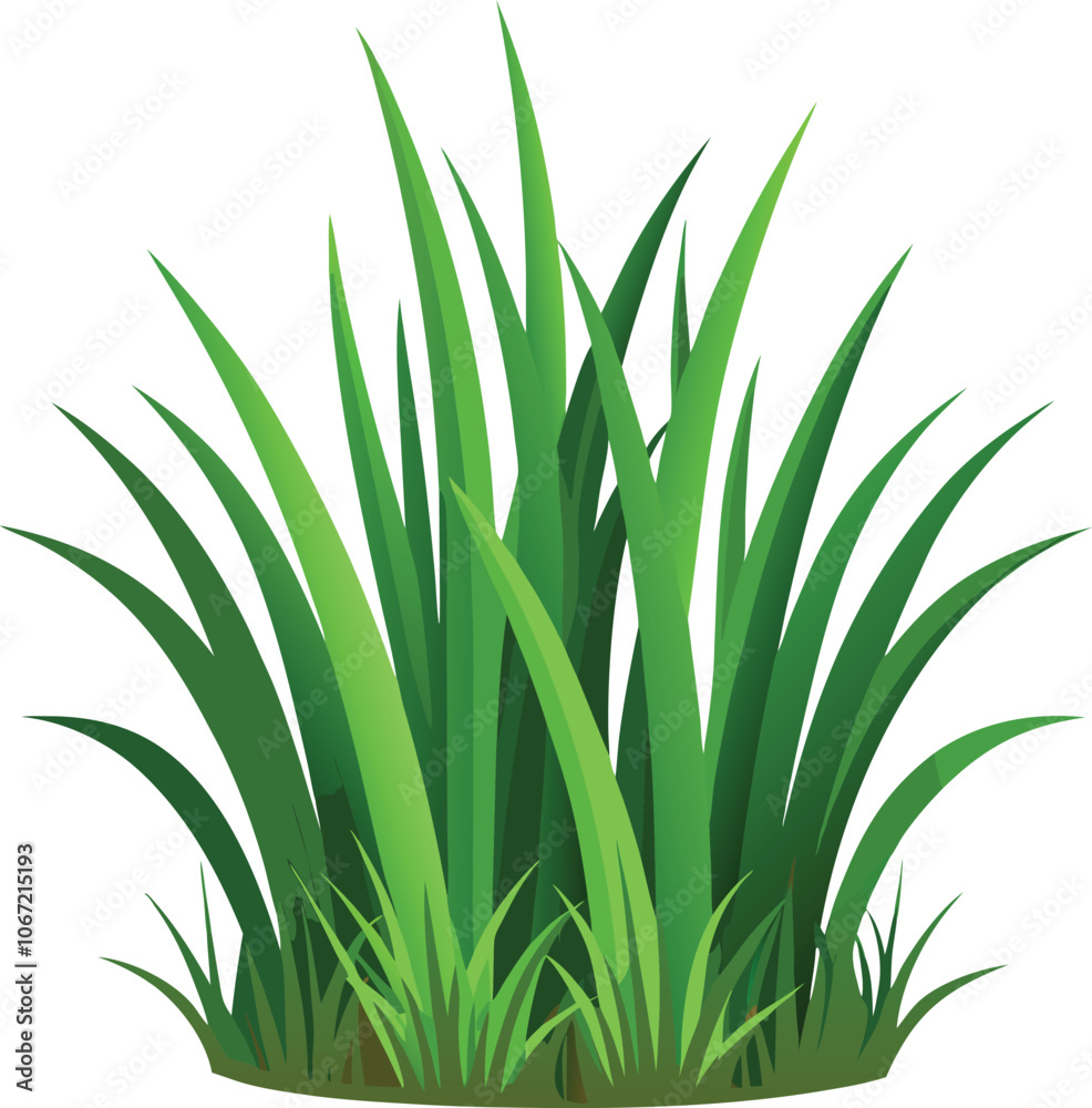 isolated grass no background free vector isolated grass no background free vector