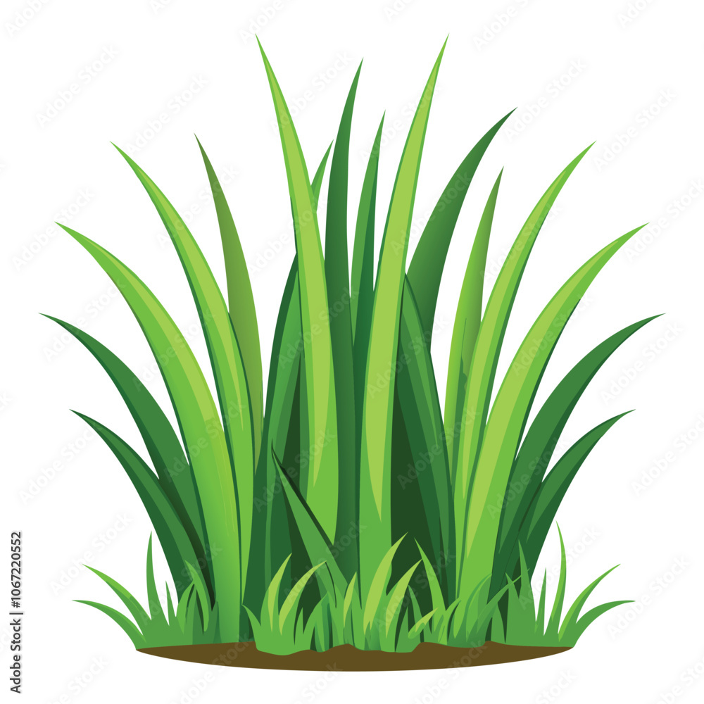 isolated grass no background free vector isolated grass no background free vector