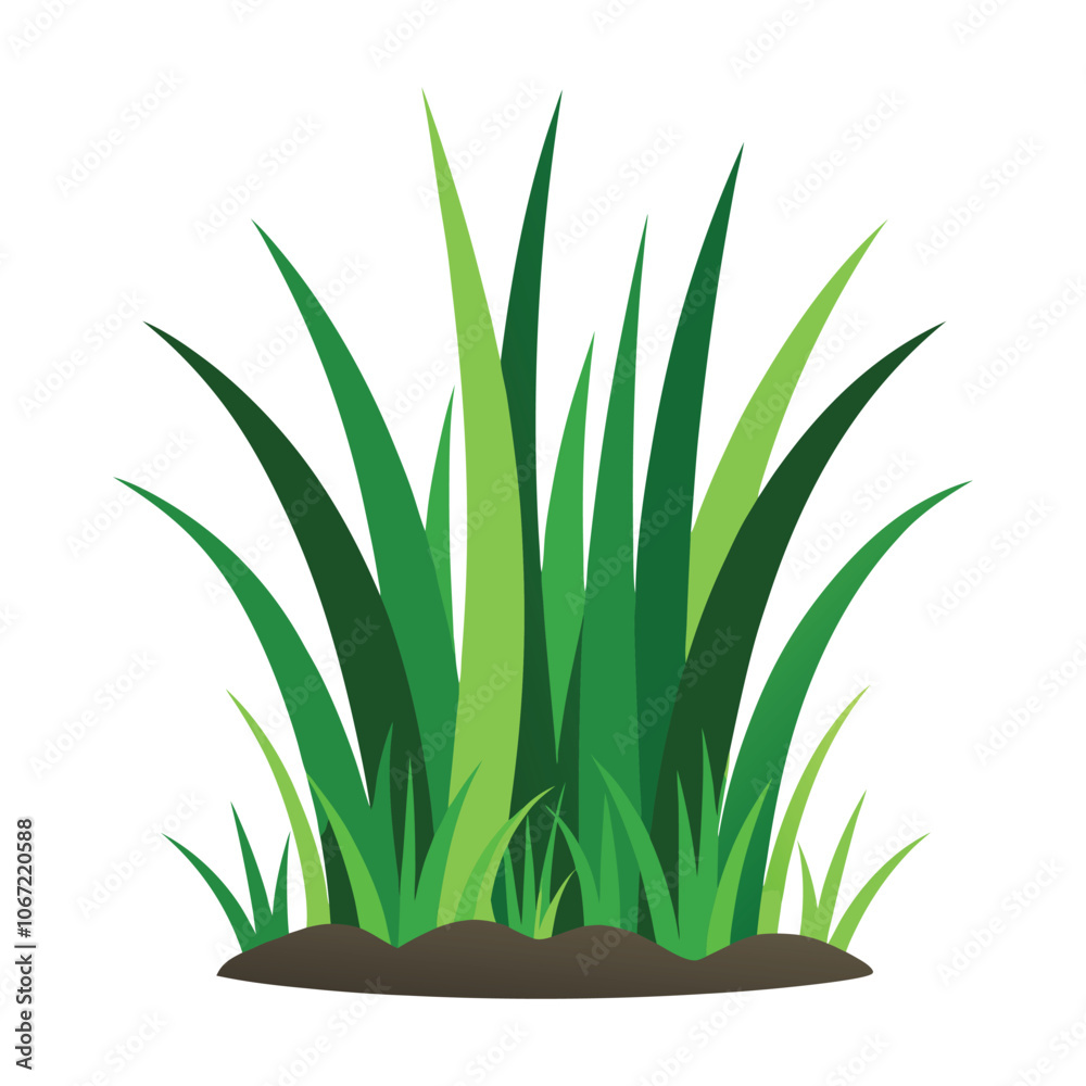 isolated grass no background free vector isolated grass no background free vector