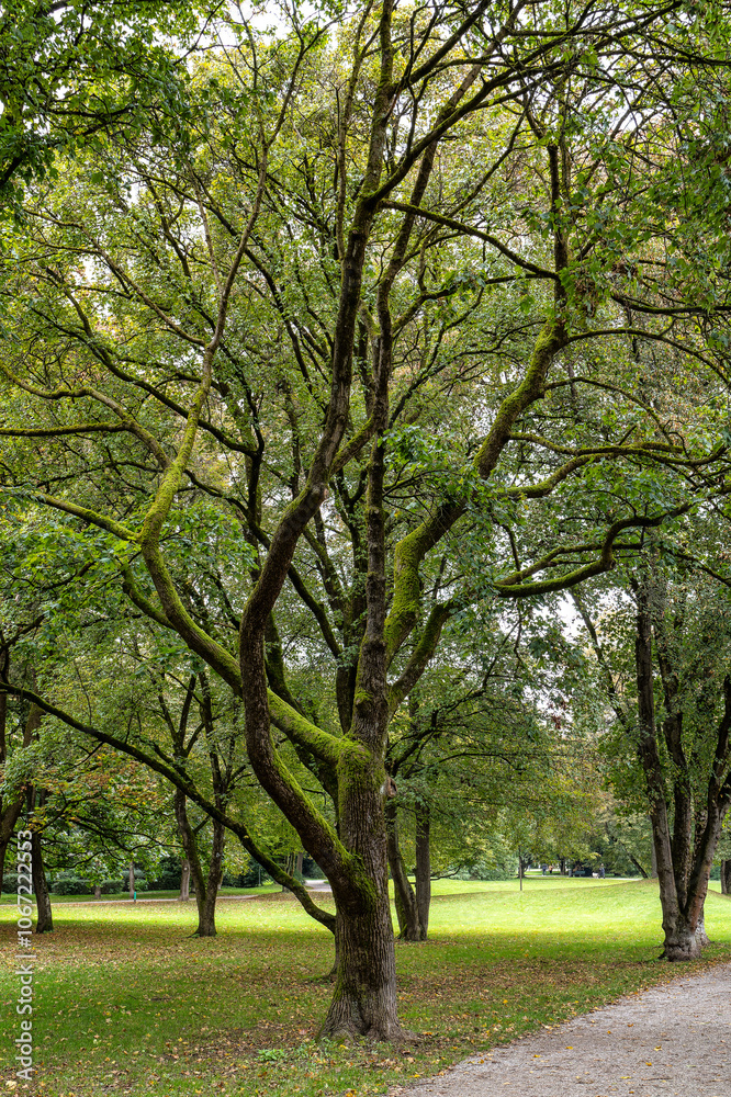 Autumn view of the Luitpold park near Olympic Park in Munich, Bavaria, Germany Autumn view of the Luitpold park near Olympic Park in Munich, Bavaria, Germany