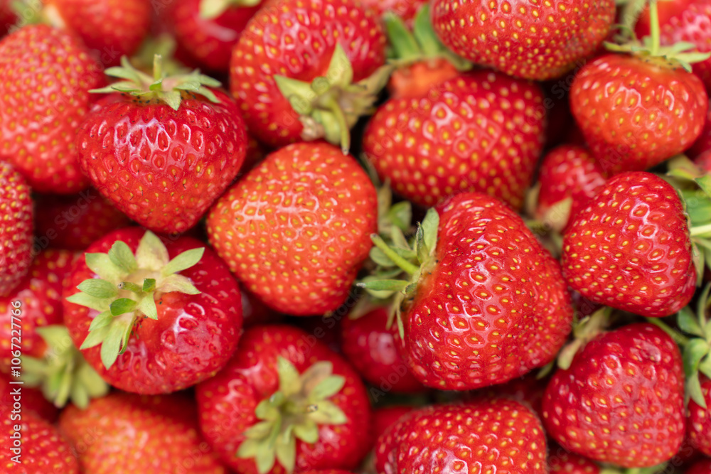 Ripened Red Strawberries Closeup on Sunny Day. Fresh Fruit Background Concept. Top view Ripened Red Strawberries Closeup on Sunny Day. Fresh Fruit Background Concept. Top view