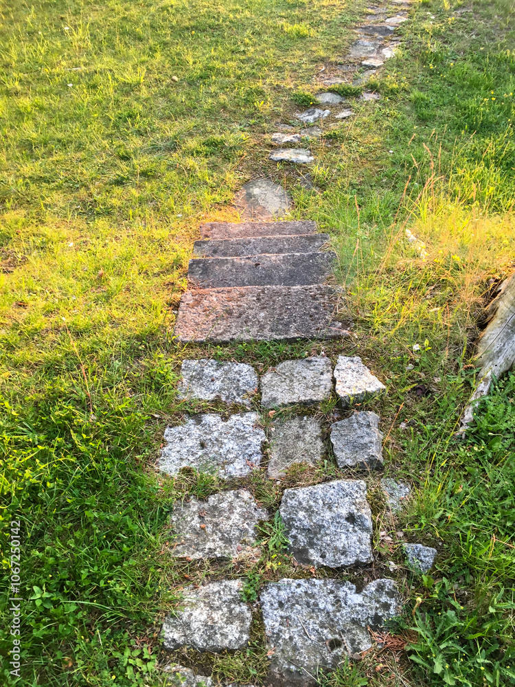 stone path in the garden stone path in the garden
