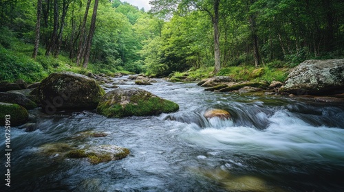 River Photography - Picturesque rivers winding through scenic landscapes, offering calm and dynamic elements of nature.