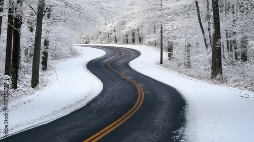 Road in Winter - Snow-covered road lined with trees, capturing the quiet beauty of winter landscapes.