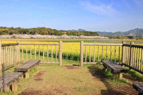 花畑を見渡せる展望所